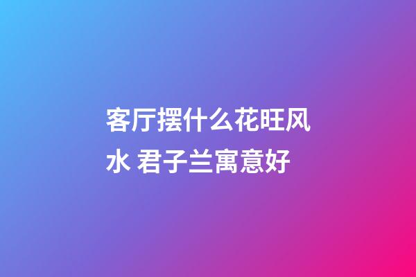客厅摆什么花旺风水 君子兰寓意好